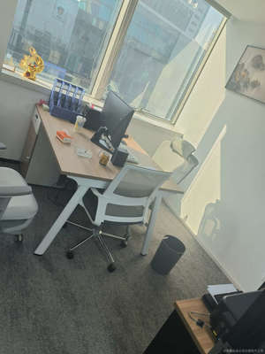 上海彬钥信息咨询 专业信息服务的引领者