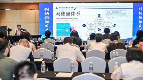 打造全国企业出海“导航站”，2026年涉外知产服务体系建设活动在浦东成功举办
